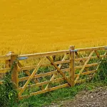 Quando e come progettare una recinzione