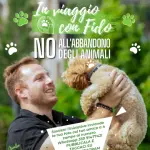 Parte la campagna contro l'abbandono degli animali nel periodo estivo