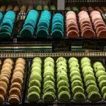 Quali sono le certificazioni dello standard di certificazione IFS?