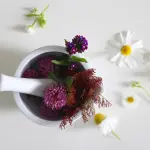 Unguento balsamico: azione curativa e preparazione fai da te