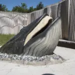 Inaugurato il Museo Mare Antico e Biodiversità, ecco perchè visitarlo