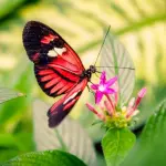 Varie iniziative a Parma: ecco alcuni eventi in programma