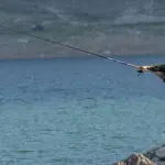 Salta la stagione della Pesca fino al 3 Aprile