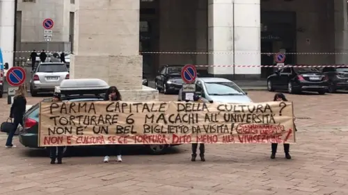 Conferenza Parma 2020: manifestazione animalista durante l'evento
