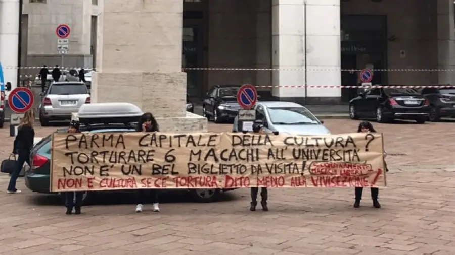 Conferenza Parma 2020: manifestazione animalista durante l'evento