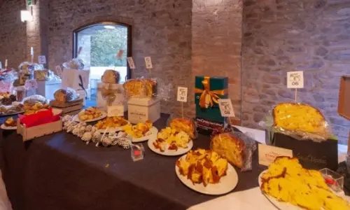 Evento celebrativo del panettone riscontra successo a Parma