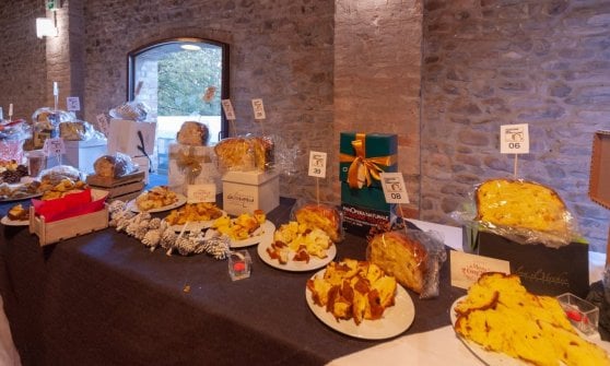 Evento celebrativo del panettone riscontra successo a Parma