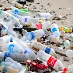 Il M5S parmense ripulisce la città dai rifiuti: progetto di volontariato