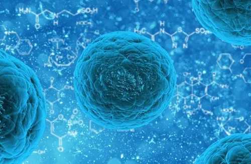 Candida albicans: che cos’è, cause e cure