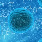 Candida albicans: che cos’è, cause e cure