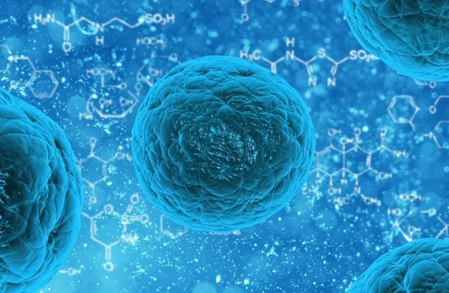 Candida albicans: che cos’è, cause e cure