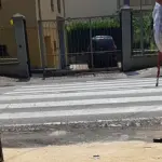 Cancelli finiti alla Reggia di Colorno