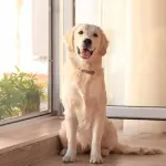 Zanzariere magnetiche, la soluzione per liberarsi dalle zanzare