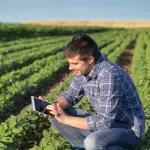 Agricoltura e tecniche produttive: fattorie aperte a Parma e digitalizzazione