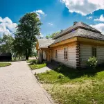 Casette in legno: la soluzione perfetta per il giardino