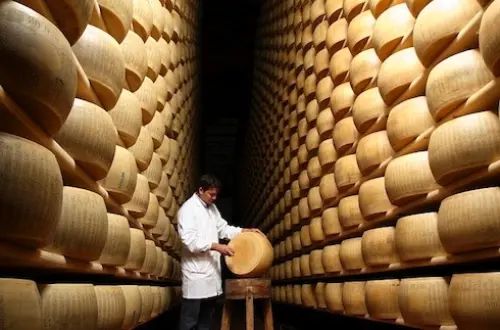 Davide Campana: battere il parmigiano è il lavoro più bello del mondo