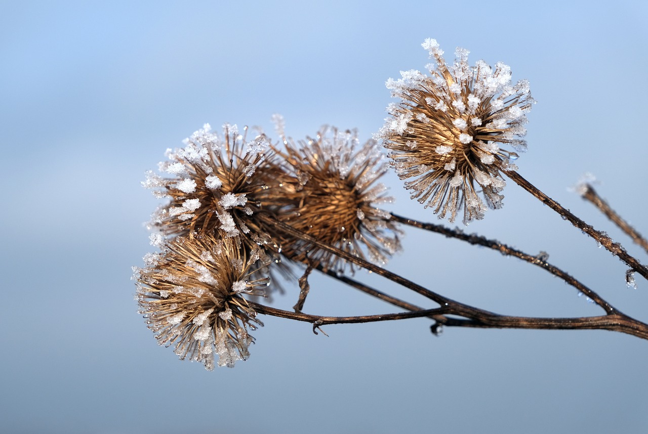 In Italia gelo e freddo: come riscaldare casa economicamente anche senza termosifoni