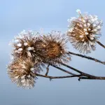 In Italia gelo e freddo: come riscaldare casa economicamente anche senza termosifoni